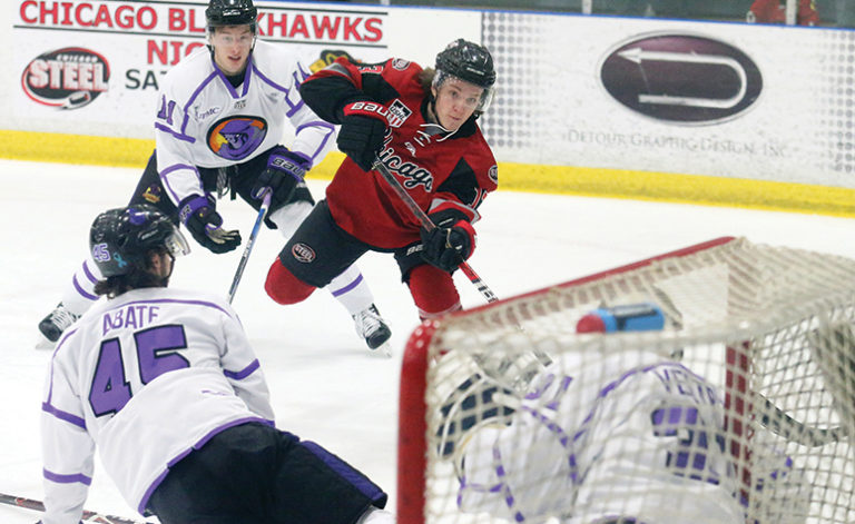 New England&rsquo;s top USHL players during the 2019-20 season