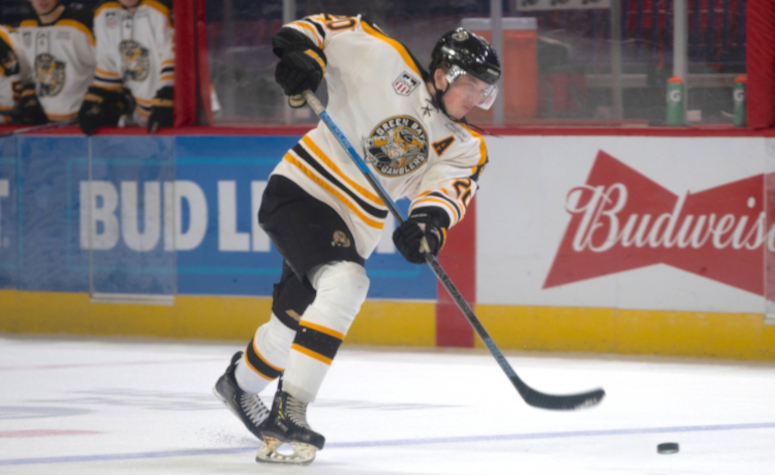 Boston Bruins prospects: Top pro defensemen and goalies