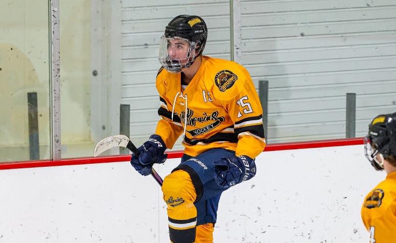 Austin Borggaard celebrates scoring a goal during the 18U state championship. (Brian Kelly/NEHJ)